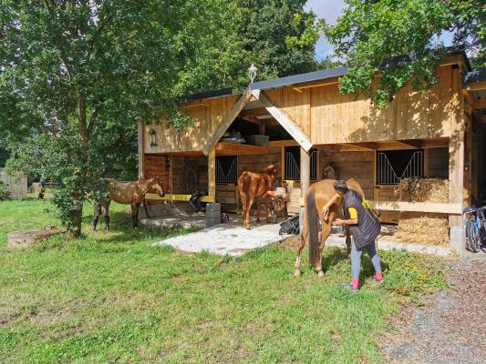 Equitation au départ du gîte équestre