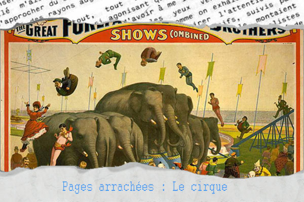 Le cirque